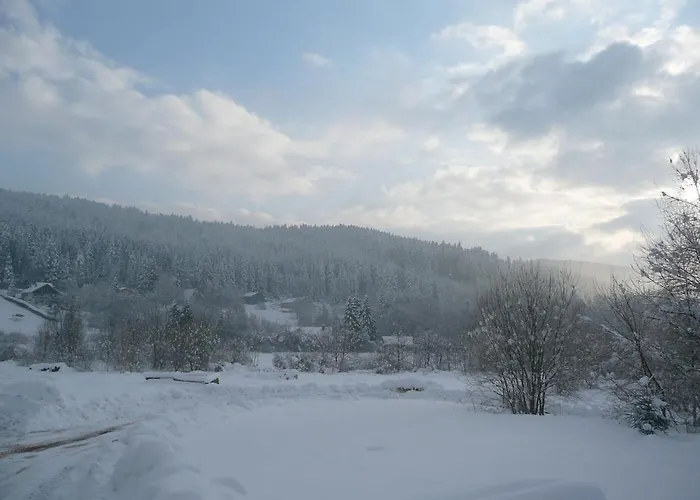 Apartmán D1 Very Of 1 A 4 Pers 3 Stars Wifi Le Tholy