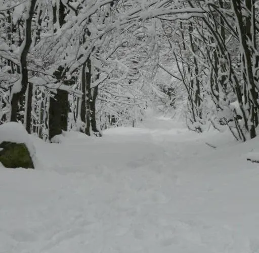 D1 Very Of 1 A 4 Pers 3 Stars Wifi Le Tholy